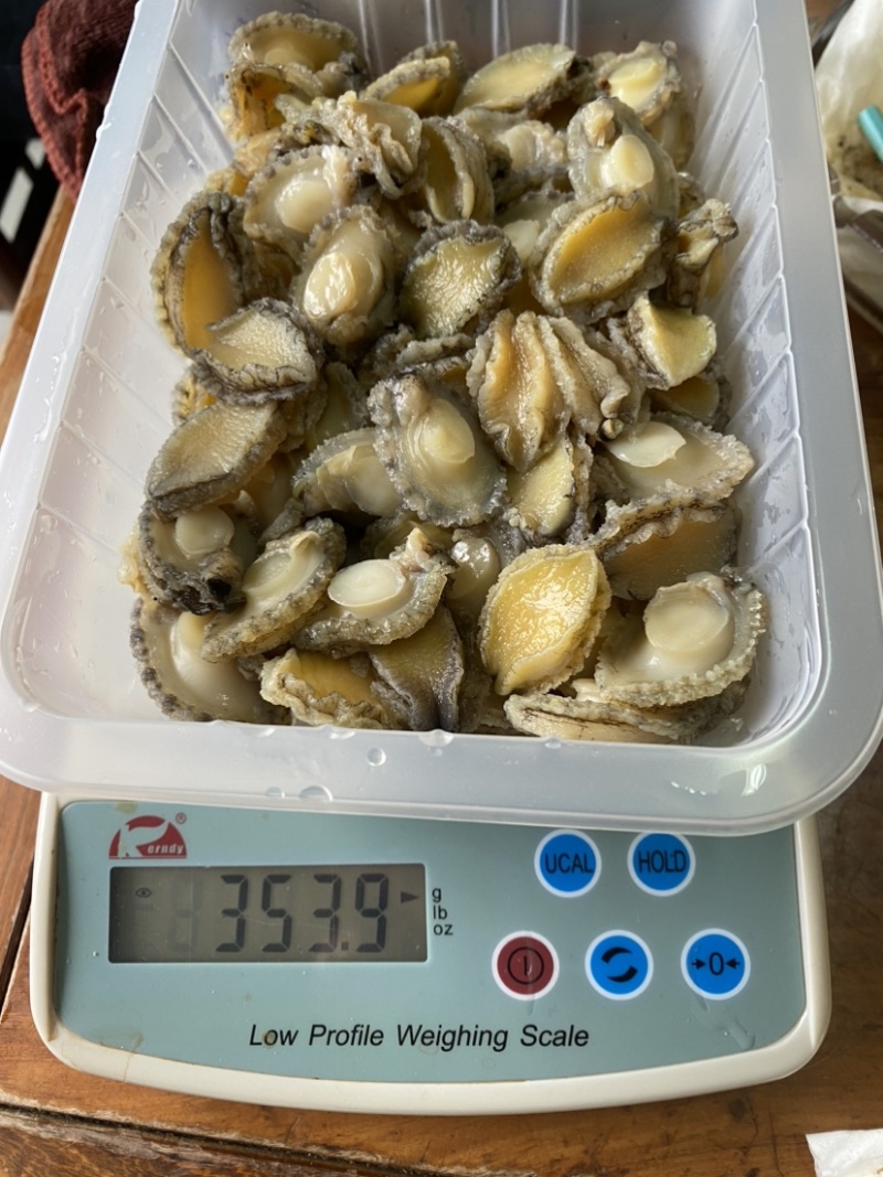 各规格鲍鱼肉，黄金鲍各种鲍鱼制品量大价格从优欢迎来厂参观