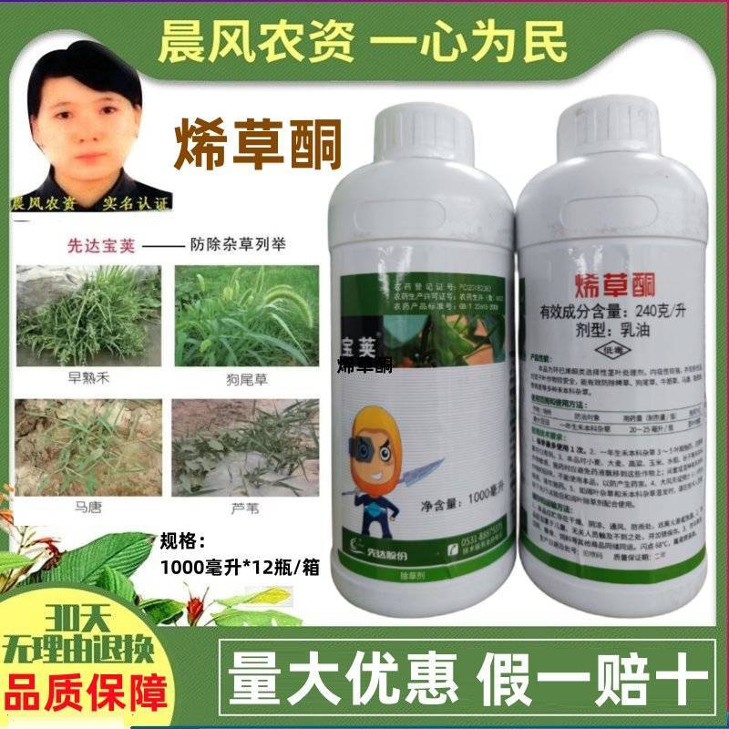 先达宝荚240克/升烯草酮春大豆田一年生禾本科杂草除
