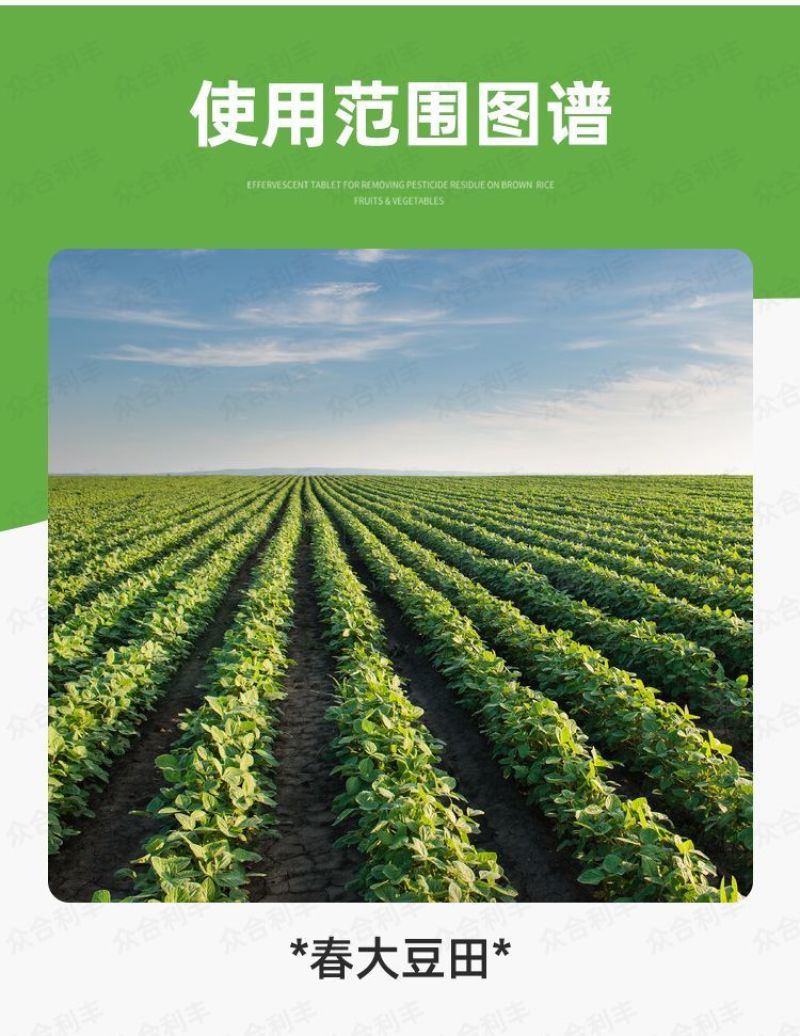 先达宝荚240克/升烯草酮春大豆田一年生禾本科杂草除