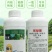 先达宝荚240克/升烯草酮春大豆田一年生禾本科杂草除