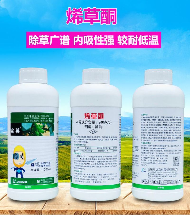 先达宝荚240克/升烯草酮春大豆田一年生禾本科杂草除