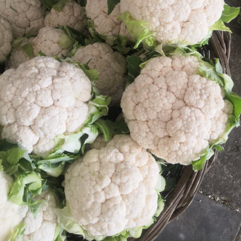 1-3斤菜花，花菜乳白紧花，市场，电商，产地直供全国代发