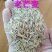 老芒麦种子，防沙固土饲用养殖牧草多年生耐寒耐旱园林绿化生