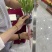 果蔬有机菌肥生物肥粉剂颗粒厂家发货保质保量欢迎咨询
