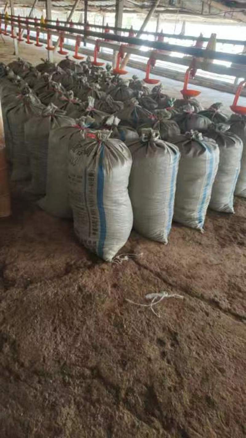 优质稻壳鸡粪纯干鸡粪花卉苗木基肥底肥养殖场直供
