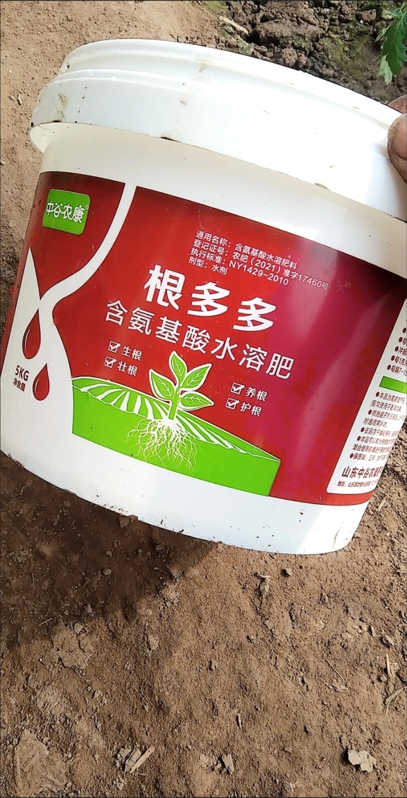 正品根多多生根液壮苗剂强力发根壮根扦插移栽育苗蔬菜防根腐