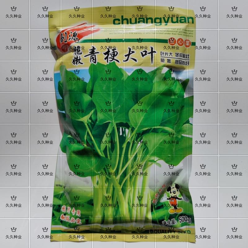 武汉脆嫩青梗大叶空心菜种子优质高产耐热耐湿抗病商品性佳