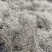 莓茶藤茶大量批发一件代发