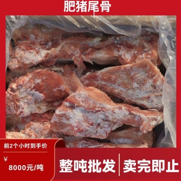 哈尔滨精品肥猪尾骨，仓储直发，保质保量，整吨批发支持看货