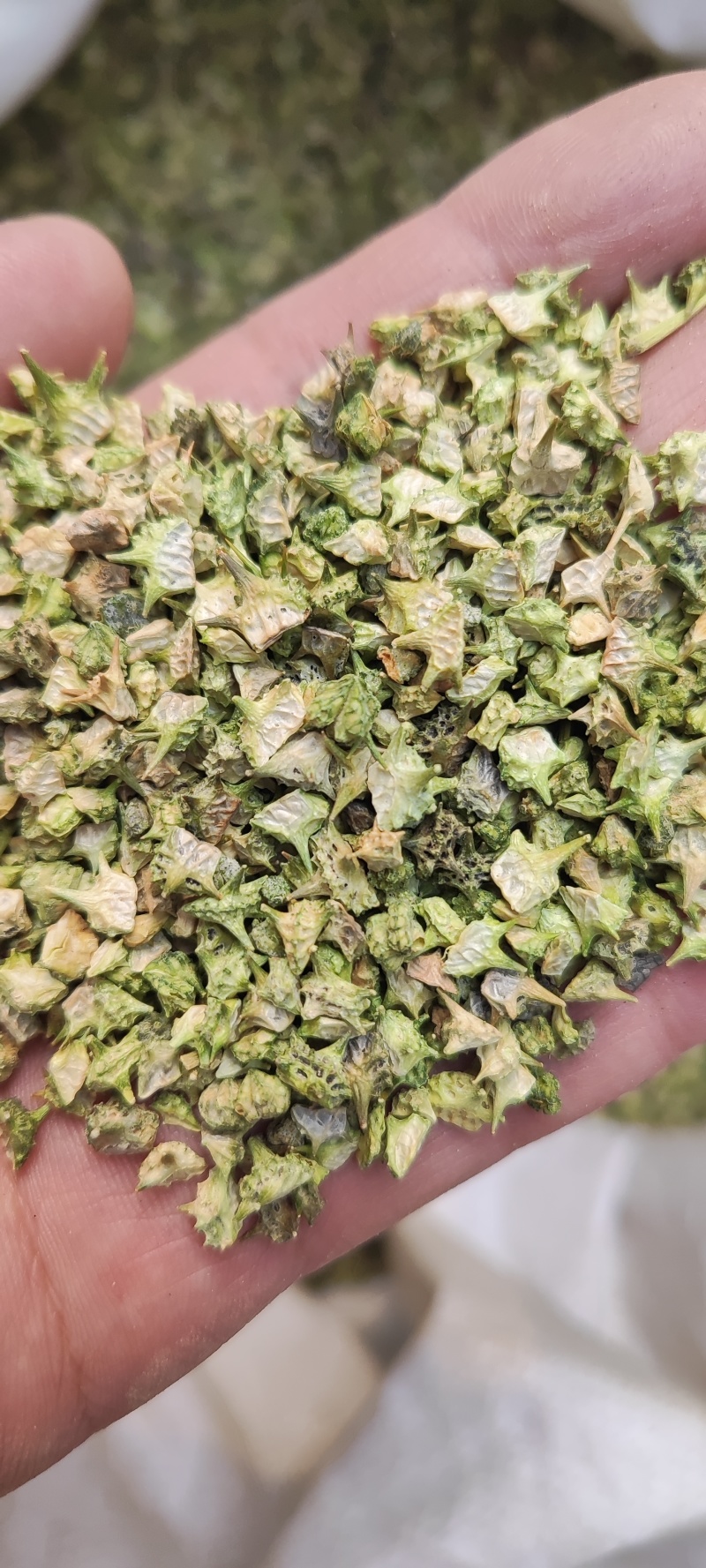 蒺藜干货蒺藜中药材干净无杂质量大从优欢迎选购