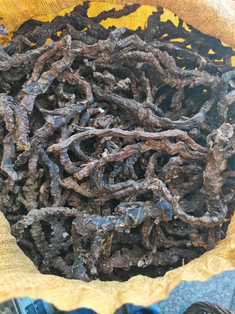 石菖蒲干货去根须干净无杂质大山里的天然石菖蒲