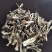 鹿茸菇干货好货批发产地一手货源本店经营各种野生菌产地批发