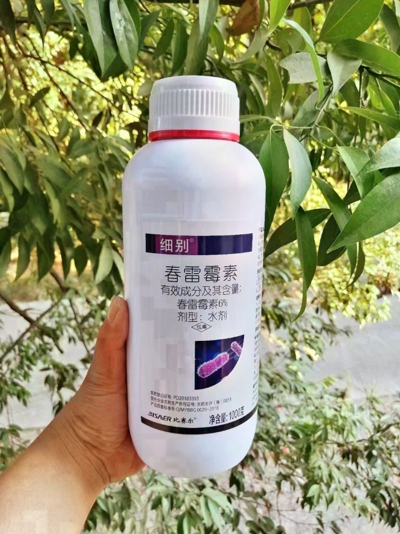 6%春雷霉素叶斑病角斑稻瘟病溃疡柑橘蔬菜软腐细菌病害杀菌