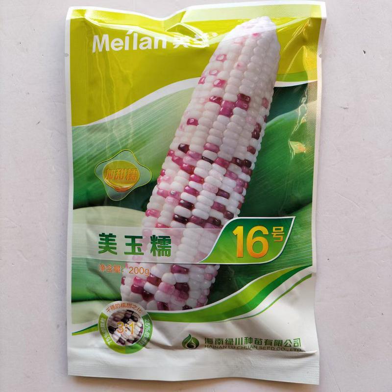 美玉16号彩甜糯玉米品种甜糯1比3品种种子
