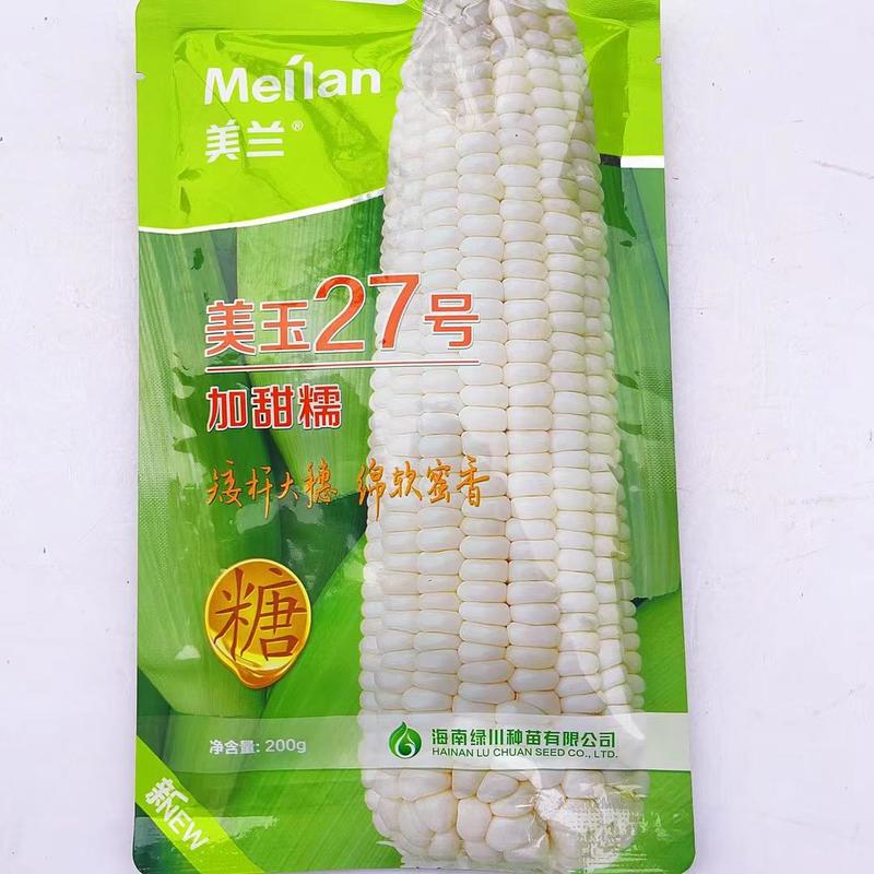 美玉16号彩甜糯玉米品种甜糯1比3品种种子
