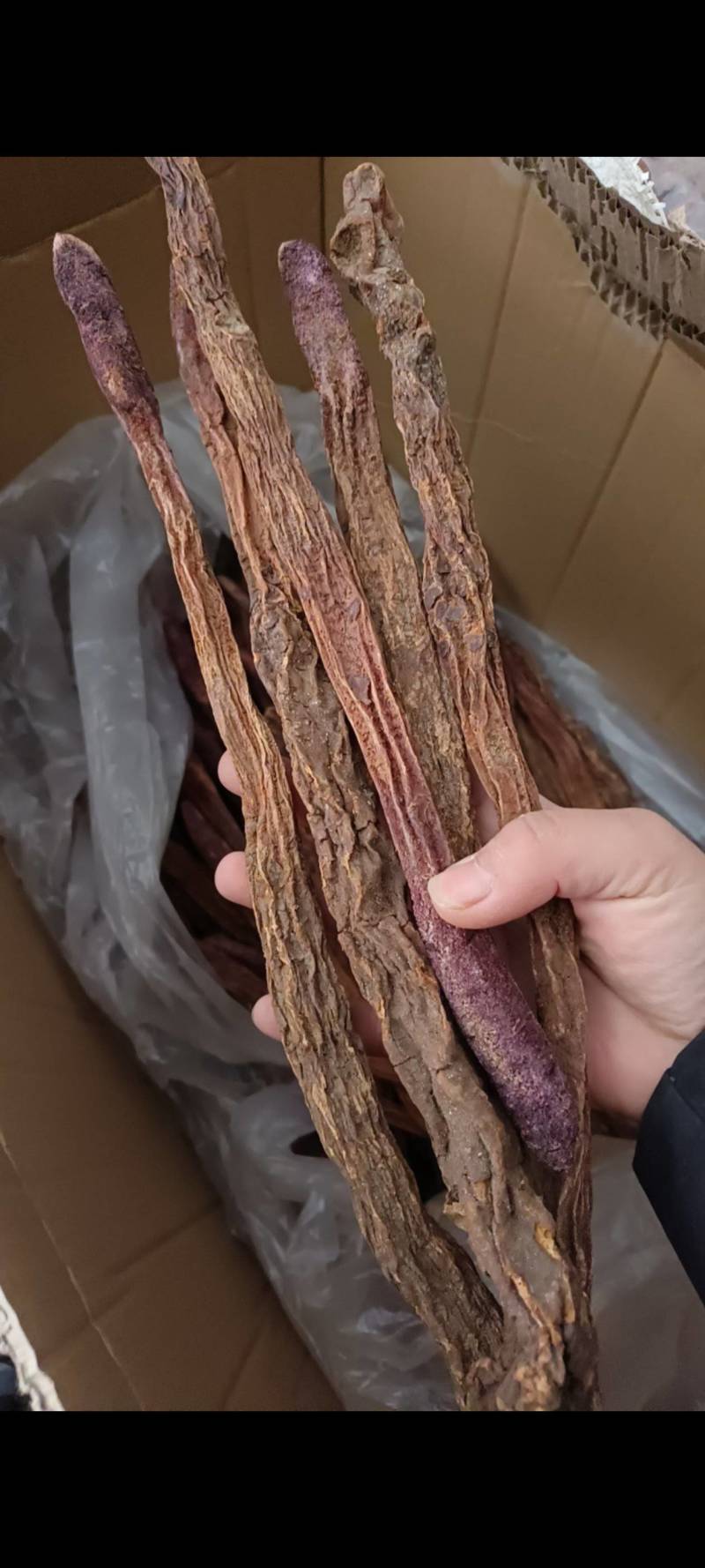 锁阳，新疆锁阳，批发零售，一手货源产地直销可打粉