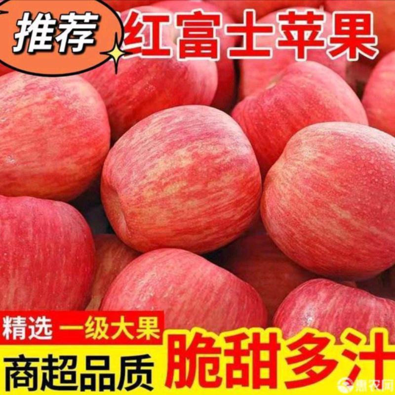 红富士苹果产地批发，苹果口感脆甜多汁保质保量