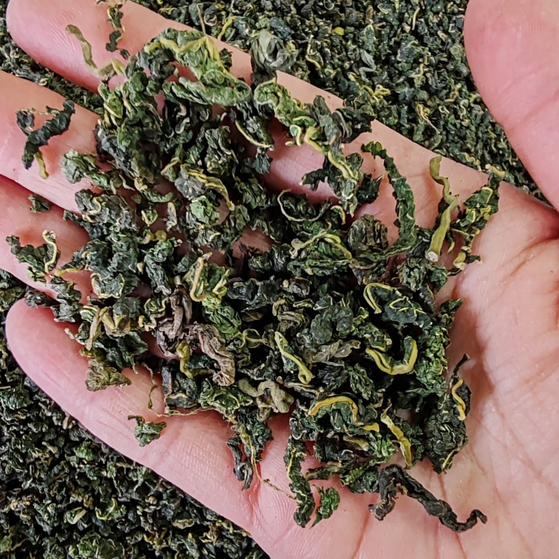桑叶茶500克包邮桑叶干货花草茶泡水桑叶茶