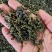 桑叶茶500克包邮桑叶干货花草茶泡水桑叶茶