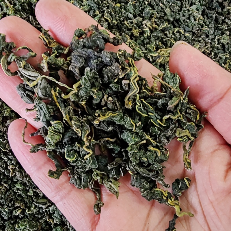 桑叶茶500克包邮桑叶干货花草茶泡水桑叶茶