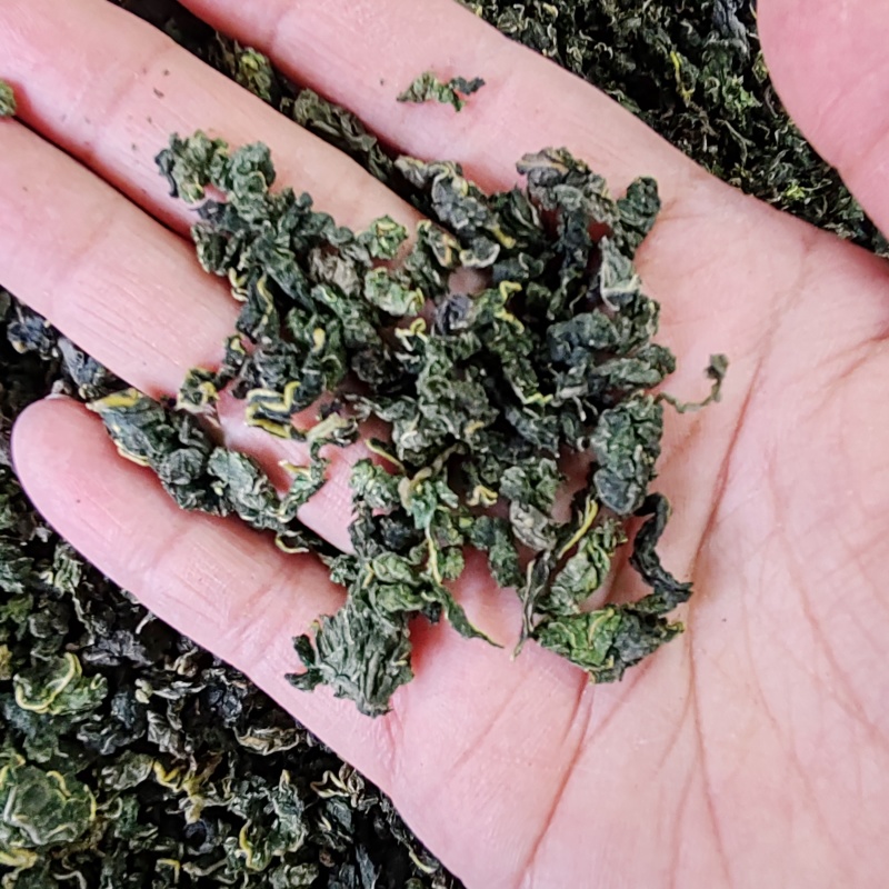 桑叶茶500克包邮桑叶干货花草茶泡水桑叶茶