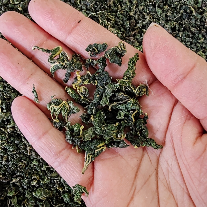 桑叶茶500克包邮桑叶干货花草茶泡水桑叶茶
