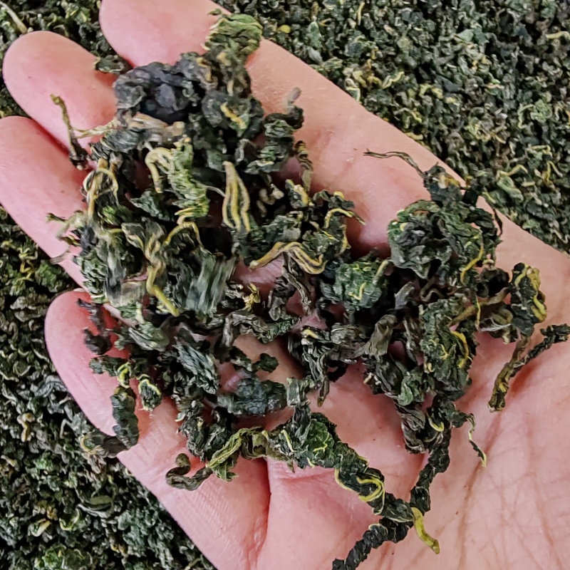 桑叶茶500克包邮桑叶干货花草茶泡水桑叶茶