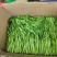 【推荐】江苏茼蒿自产自销货源充足对接商超档口电商团购