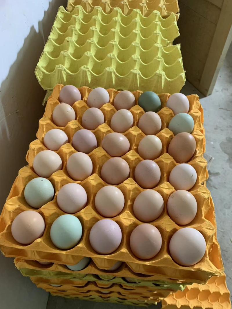 土鸡蛋荆门散养土鸡蛋基地直供，蛋黄为金黄色，欢迎订购
