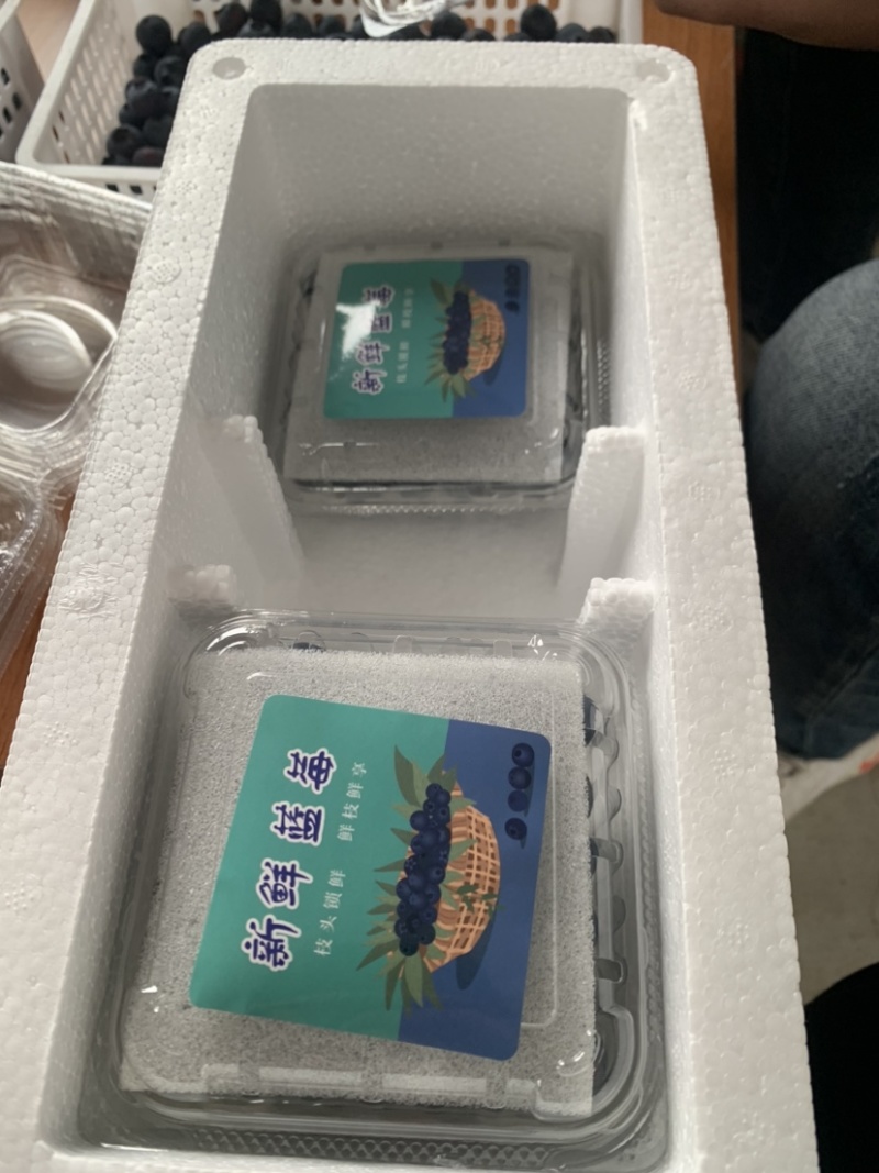 山东新鲜采摘蓝莓淄博，品质保证个大多汁，欢迎选购