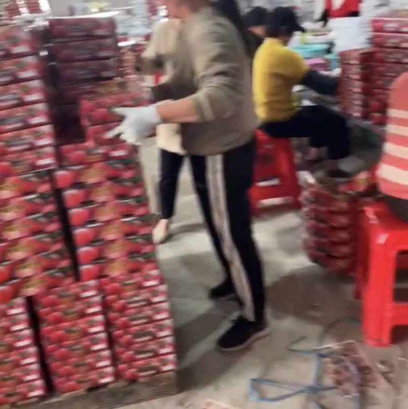圣女果，甜度高，果靓，质量好，价格便宜，随时联系