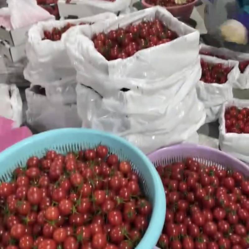 圣女果，甜度高，果靓，质量好，价格便宜，随时联系