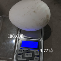 自家散养土鹅蛋，均重均在2.7两以上。