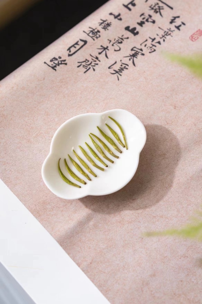 绿茶雀舌茶罐装500克
