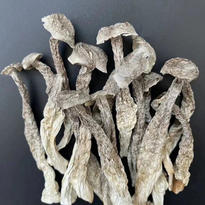 鹿茸菇干货特级无硫新鲜自然晾晒脱水火锅炒菜均可味道鲜美
