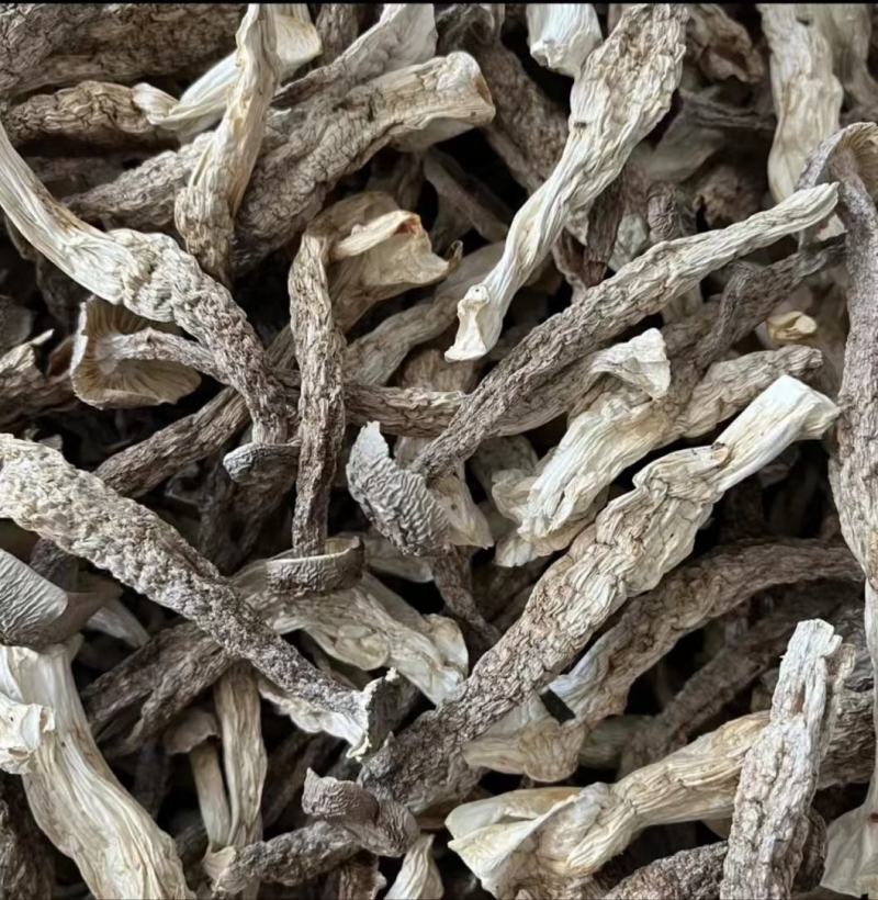 鹿茸菇干货特级无硫新鲜自然晾晒脱水火锅炒菜均可味道鲜美