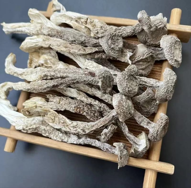 鹿茸菇干货特级无硫新鲜自然晾晒脱水火锅炒菜均可味道鲜美