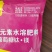 葡萄糖钛镁螯合钛肥水溶肥叶面肥转色口感好增产增甜催