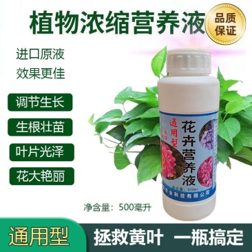花卉营养液，通用型，全面营养，调节生长，全国发货量大优惠
