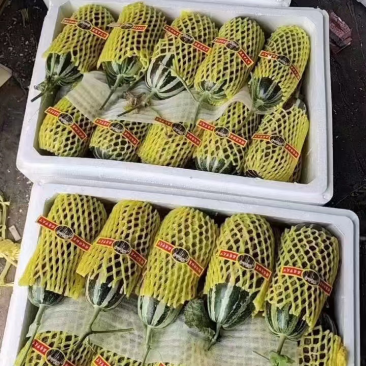 头茬博洋9⃣️博洋九一羊角蜜绿宝石代收代发