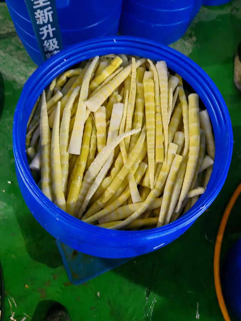 精品绿竹笋竹笋产地直发品质保证量大从优一手货源