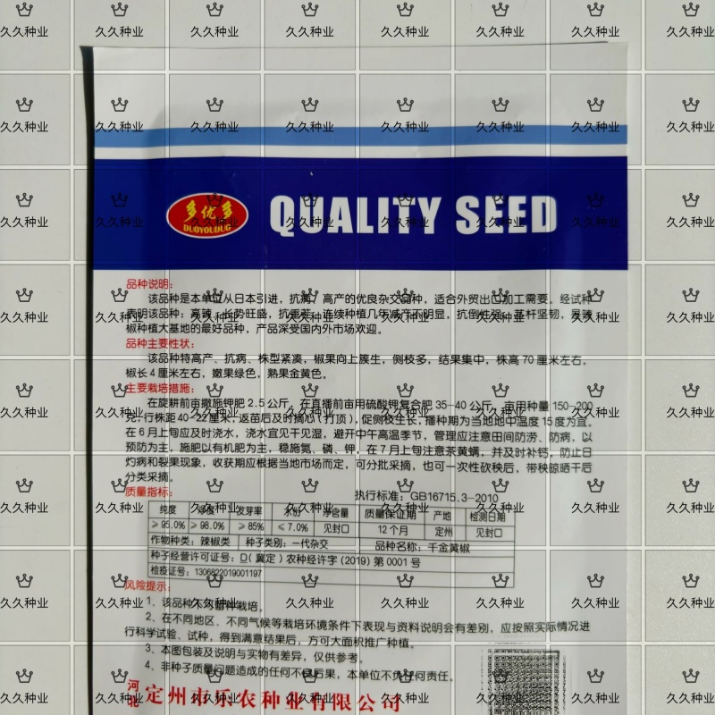 千金黄椒辣椒种子中晚熟黄辣椒黄尖椒辣味浓黄贡椒