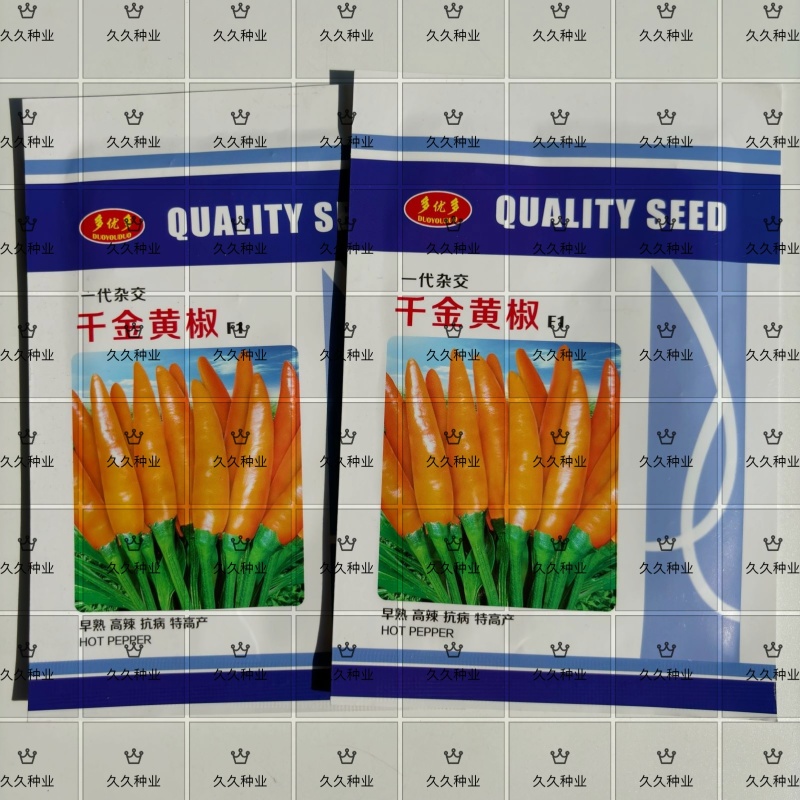 千金黄椒辣椒种子中晚熟黄辣椒黄尖椒辣味浓黄贡椒
