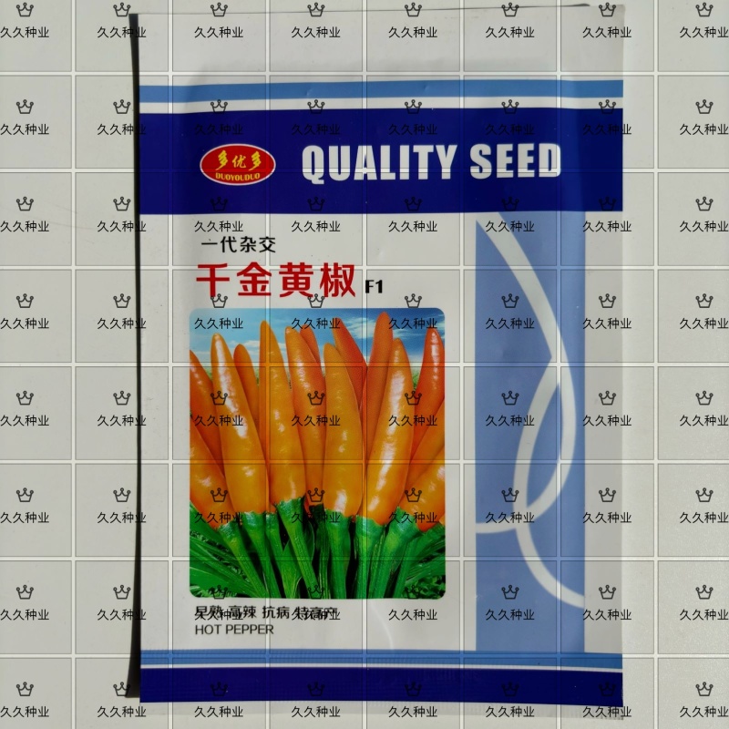千金黄椒辣椒种子中晚熟黄辣椒黄尖椒辣味浓黄贡椒