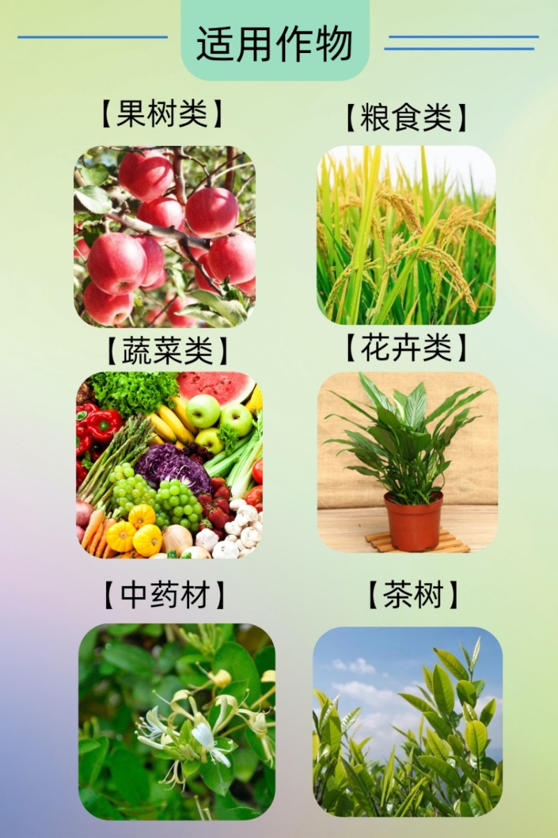 微粒硼微量元素水溶肥料糖醇硼促花保果果树蔬菜大田通用
