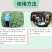 微粒硼微量元素水溶肥料糖醇硼促花保果果树蔬菜大田通用
