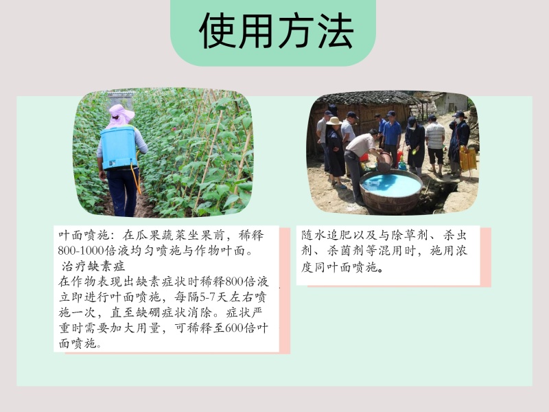 微粒硼微量元素水溶肥料糖醇硼促花保果果树蔬菜大田通用