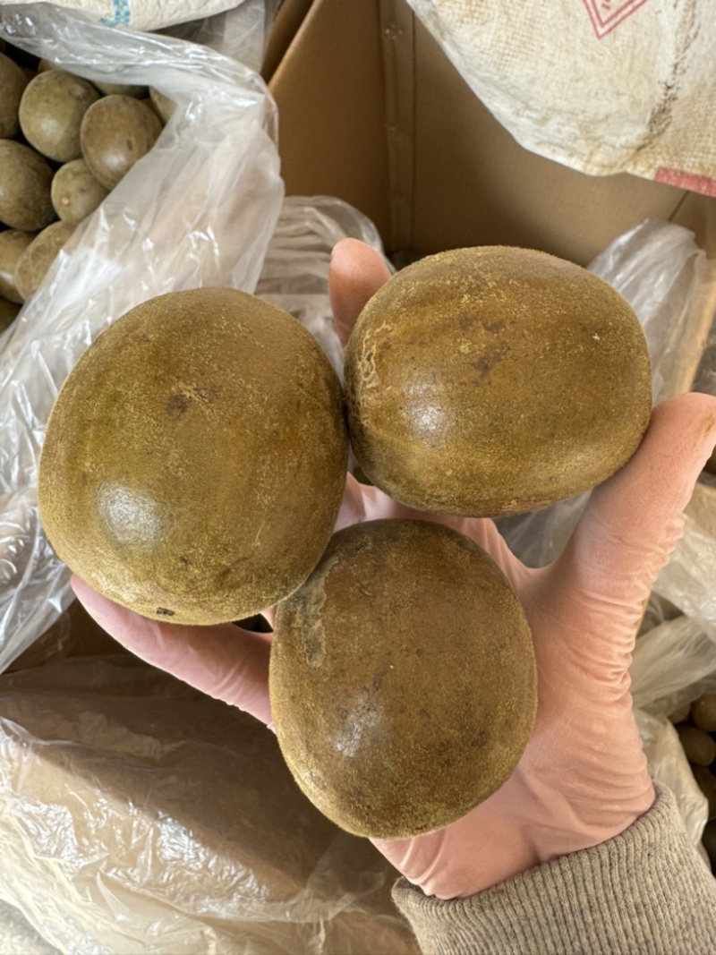 罗汉果保庆药业批发罗汉果各种规格罗汉果发货如图