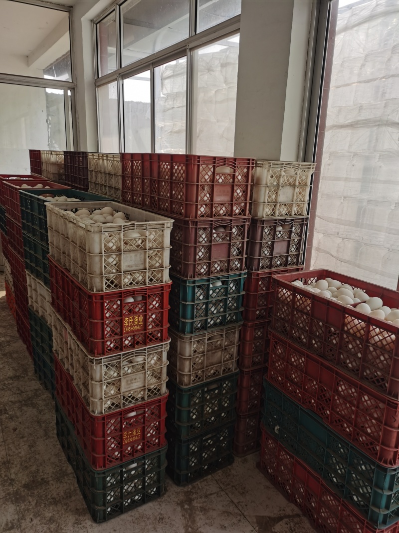 精品鸭蛋，鹅蛋，双黄蛋，欢迎各位老板合作