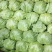 圆包菜山东聊城冷棚蔬菜产区大量供应中，基地直发